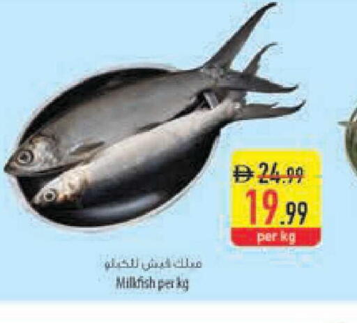 available at Safeer Market in UAE - Ras al Khaimah