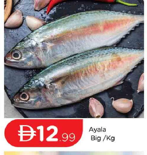 available at المدينة in الإمارات العربية المتحدة , الامارات - دبي