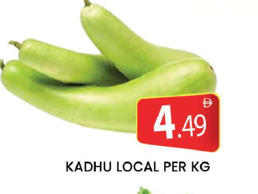 available at المدينة in الإمارات العربية المتحدة , الامارات - دبي