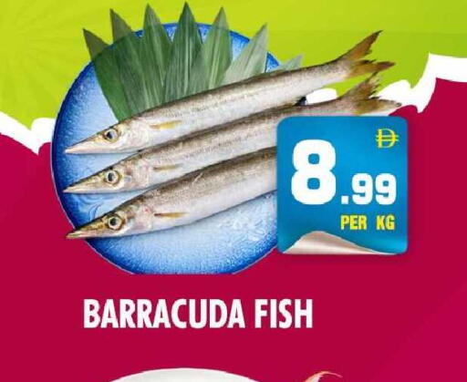 available at نايت تو نايت in الإمارات العربية المتحدة , الامارات - دبي