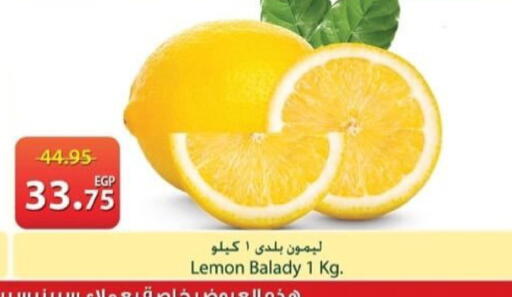 Lemon available at Spinneys  in Egypt - Cairo