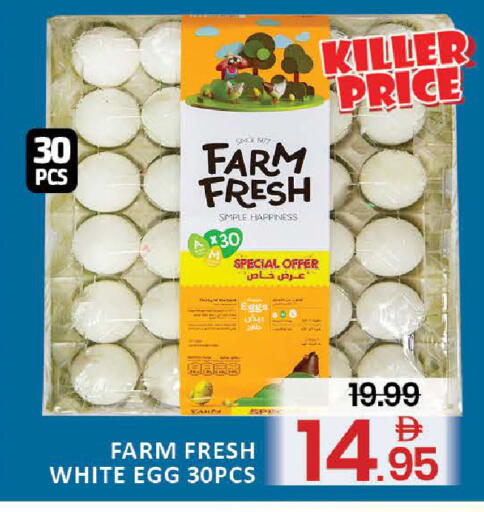 Mango available at Mango Hypermarket LLC in UAE - Dubai