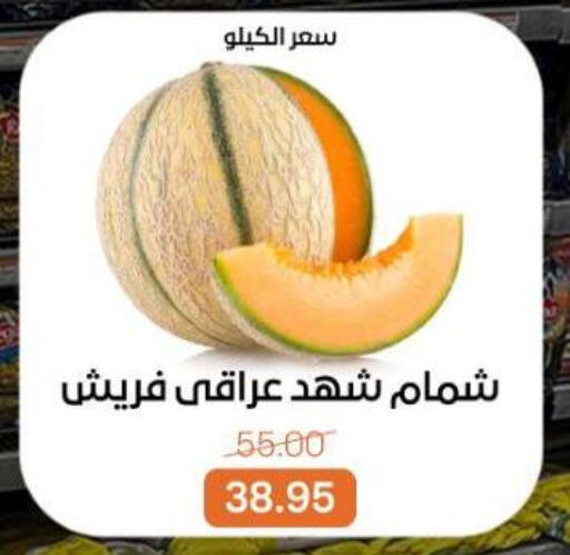 available at Beit El Gomla in Egypt - Cairo