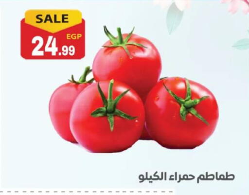 available at El mhallawy Sons in Egypt - Cairo