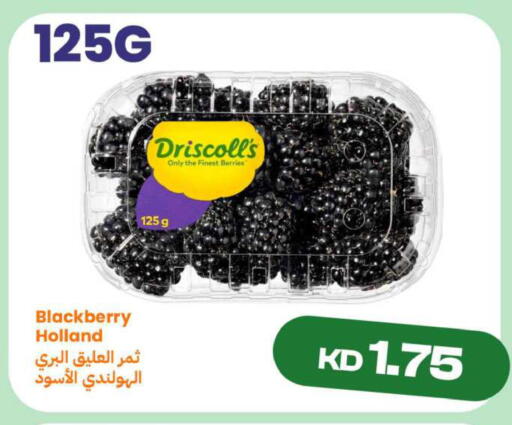 Blackberry available at Taw9eel.com in Kuwait - Ahmadi Governorate