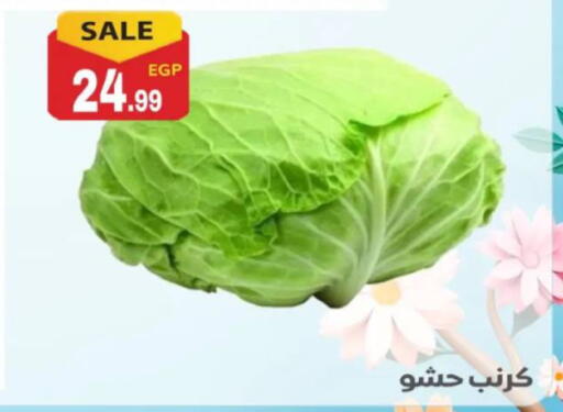 available at El mhallawy Sons in Egypt - Cairo