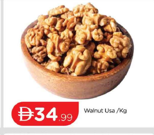 available at المدينة in الإمارات العربية المتحدة , الامارات - دبي