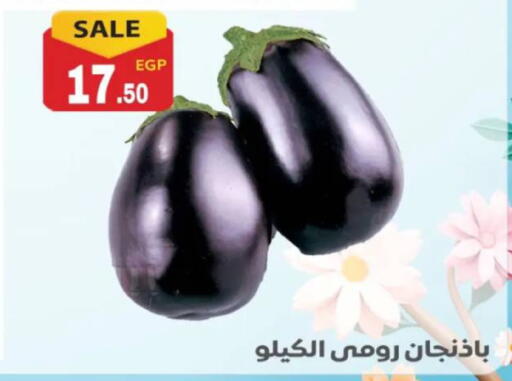 available at El mhallawy Sons in Egypt - Cairo