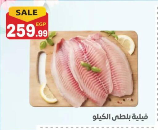 available at أولاد المحاوى in Egypt - القاهرة