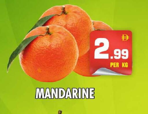 available at نايت تو نايت in الإمارات العربية المتحدة , الامارات - دبي