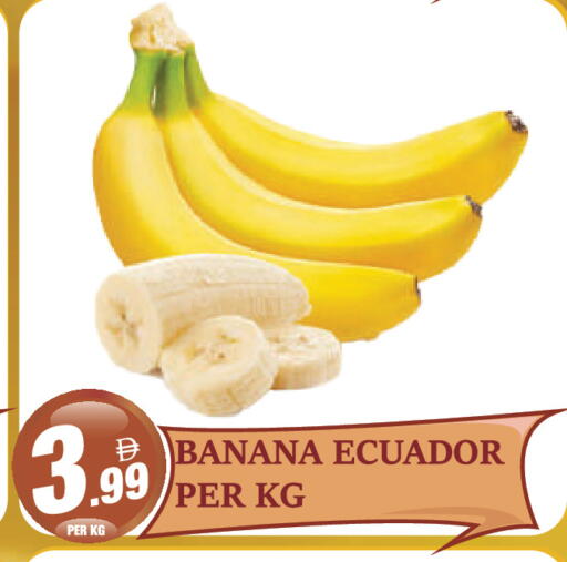 from Ecuador available at Dream Land in UAE - Dubai