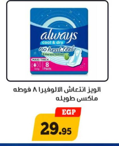 available at Awlad Ragab in Egypt - Cairo