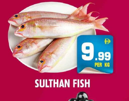 available at نايت تو نايت in الإمارات العربية المتحدة , الامارات - دبي