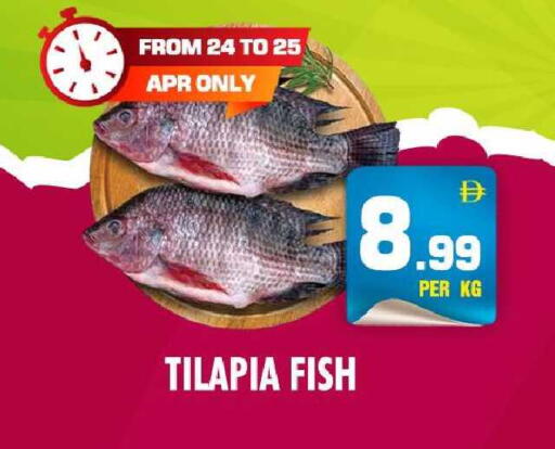 available at نايت تو نايت in الإمارات العربية المتحدة , الامارات - دبي