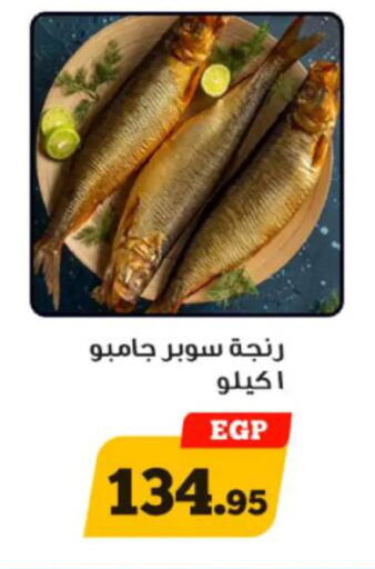 available at Awlad Ragab in Egypt - Cairo