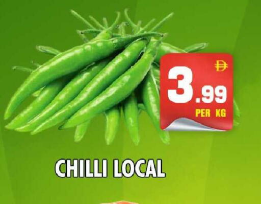 Chilli available at نايت تو نايت in الإمارات العربية المتحدة , الامارات - دبي