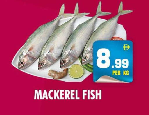 available at نايت تو نايت in الإمارات العربية المتحدة , الامارات - دبي