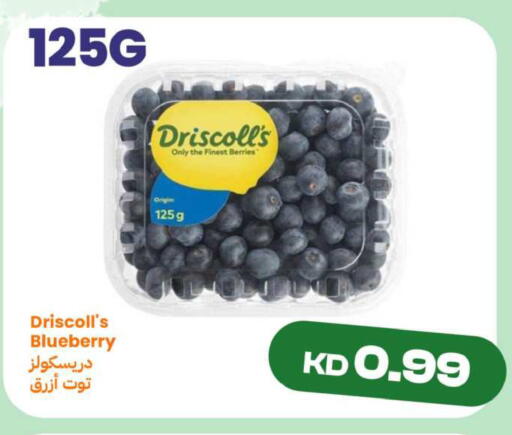 Blueberry BlueBerry available at Taw9eel.com in Kuwait - Ahmadi Governorate