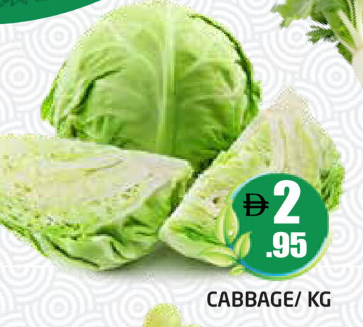 Cabbage available at Pasons Hypermarket in UAE - Dubai