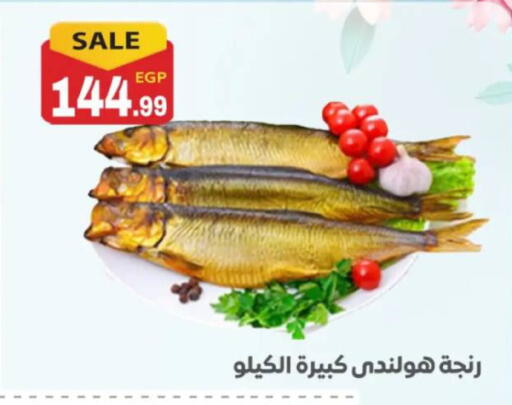 available at El mhallawy Sons in Egypt - Cairo