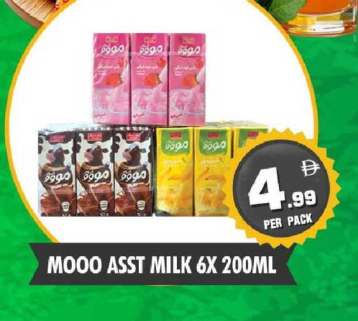 available at نايت تو نايت in الإمارات العربية المتحدة , الامارات - دبي