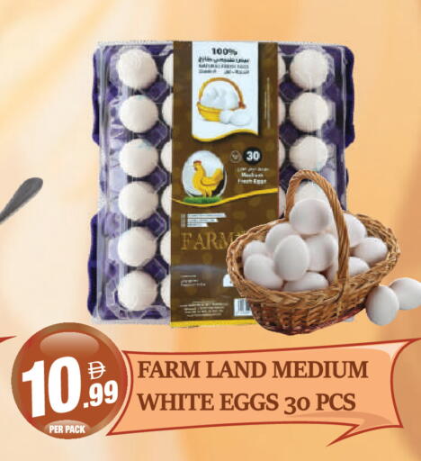 available at دريم لاند in الإمارات العربية المتحدة , الامارات - دبي