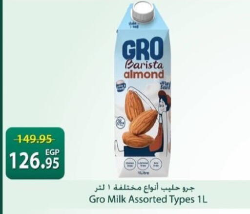 available at Spinneys  in Egypt - Cairo