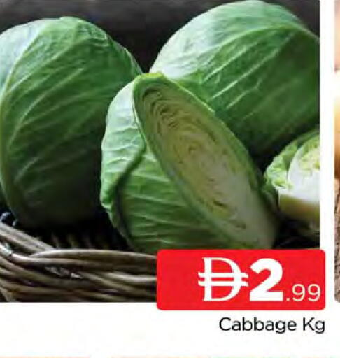 Cabbage available at المدينة in الإمارات العربية المتحدة , الامارات - دبي