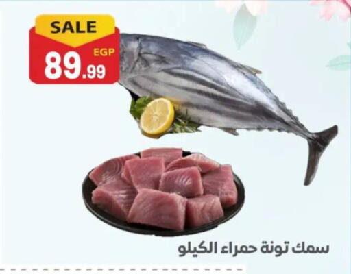 available at El mhallawy Sons in Egypt - Cairo