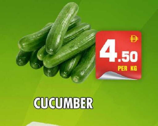 Cucumber available at نايت تو نايت in الإمارات العربية المتحدة , الامارات - دبي
