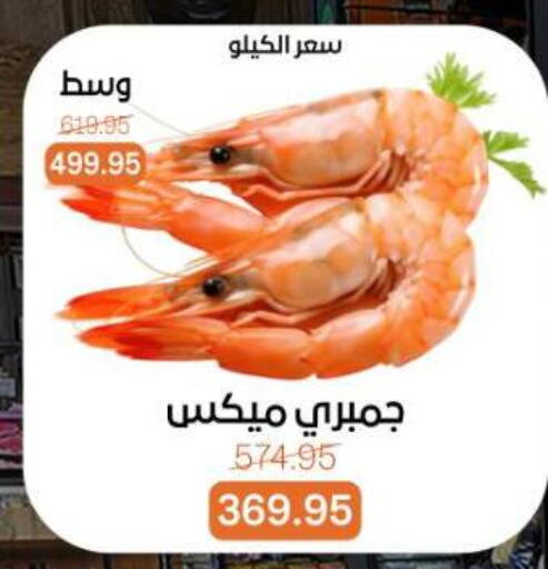 available at Beit El Gomla in Egypt - Cairo