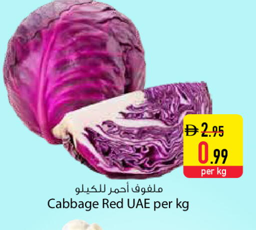 Cabbage available at السفير ماركت in الإمارات العربية المتحدة , الامارات - دبي