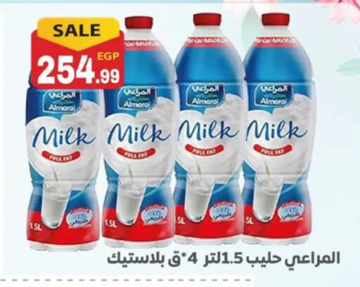 available at El mhallawy Sons in Egypt - Cairo