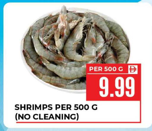 available at Dream Land in UAE - Sharjah / Ajman