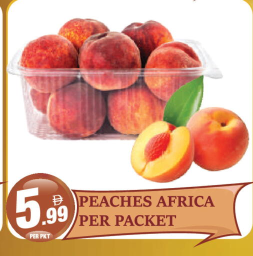 available at Dream Land in UAE - Dubai