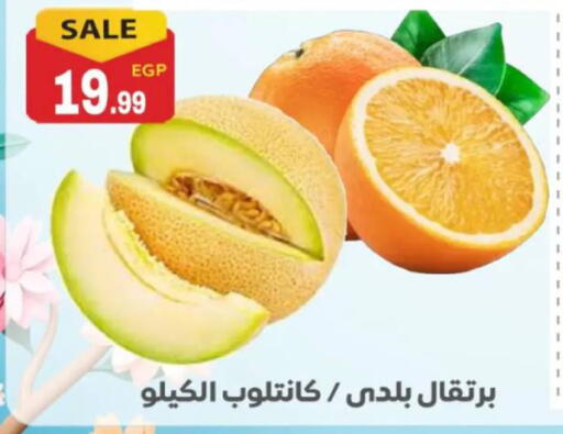 available at أولاد المحاوى in Egypt - القاهرة
