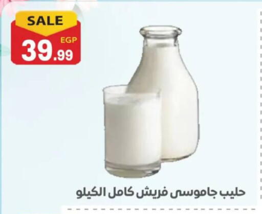 available at El mhallawy Sons in Egypt - Cairo