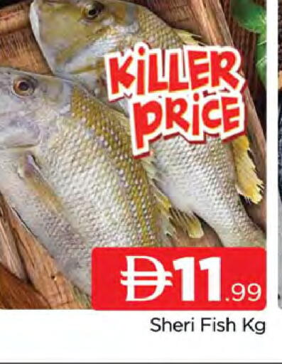 available at المدينة in الإمارات العربية المتحدة , الامارات - دبي