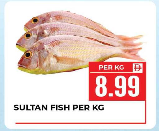 available at Dream Land in UAE - Sharjah / Ajman