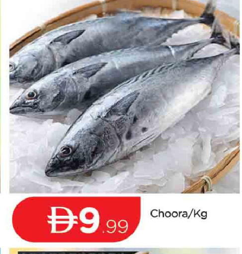 available at المدينة in الإمارات العربية المتحدة , الامارات - دبي