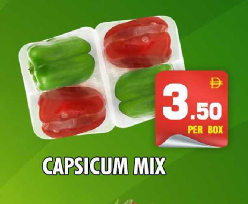 Capsicum available at نايت تو نايت in الإمارات العربية المتحدة , الامارات - دبي