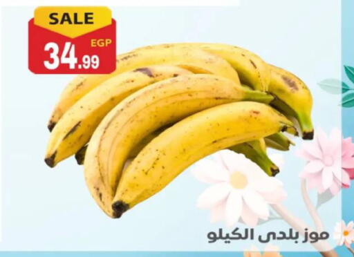available at أولاد المحاوى in Egypt - القاهرة