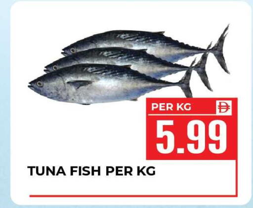 available at Dream Land in UAE - Sharjah / Ajman