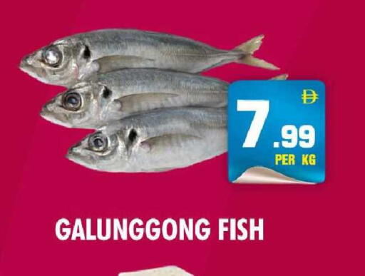 available at نايت تو نايت in الإمارات العربية المتحدة , الامارات - دبي