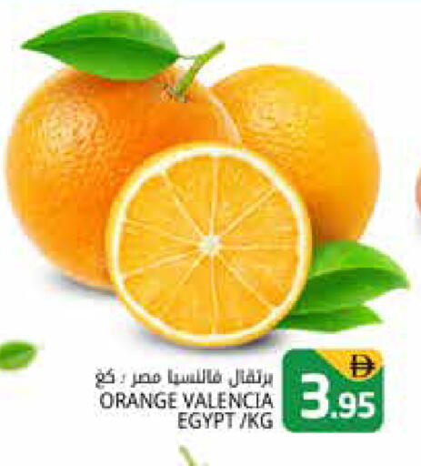 Orange from Egypt available at Pasons Hypermarket in UAE - Dubai