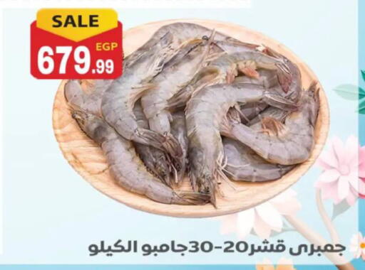 available at El mhallawy Sons in Egypt - Cairo