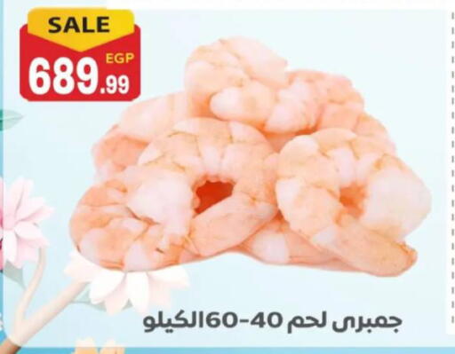 available at El mhallawy Sons in Egypt - Cairo