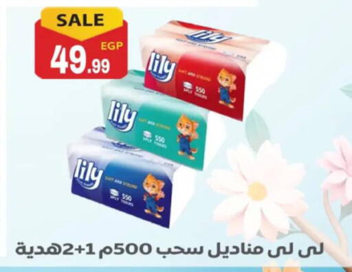 available at El mhallawy Sons in Egypt - Cairo