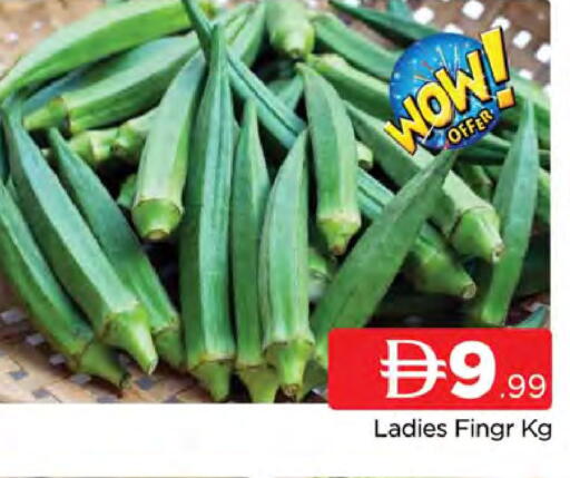 available at المدينة in الإمارات العربية المتحدة , الامارات - دبي