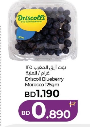 Blueberry BlueBerry from Morocco available at لولو هايبر ماركت in البحرين
